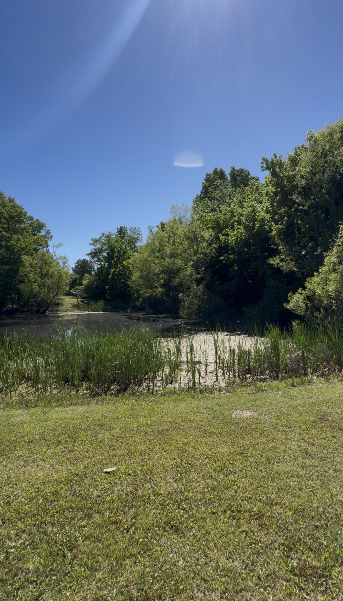 936 Cowboy Sams Drive Property Photo 42
