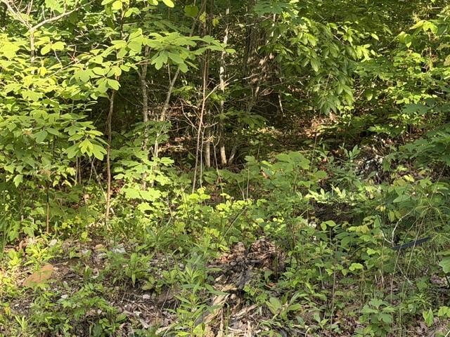 196 Big Bluff View Property Photo 1