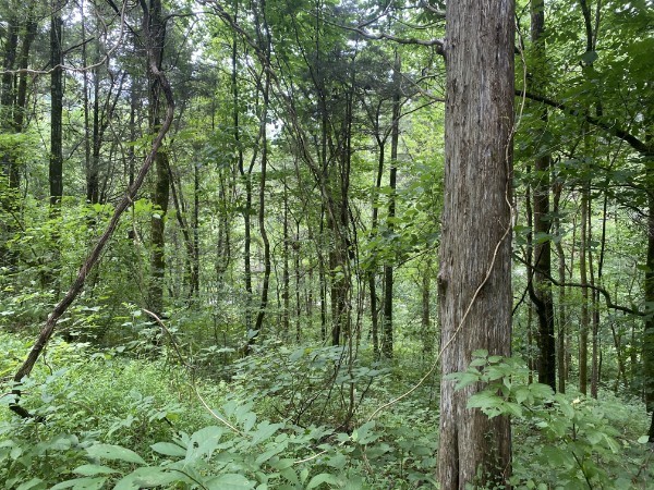 0 N Of Eagle Ridge Ln Property Photo 1