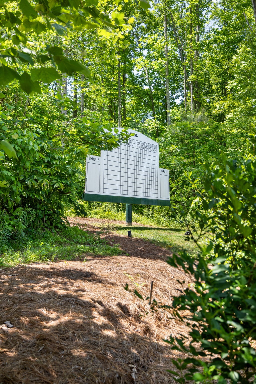 7646 Highway 100 Property Photo 64