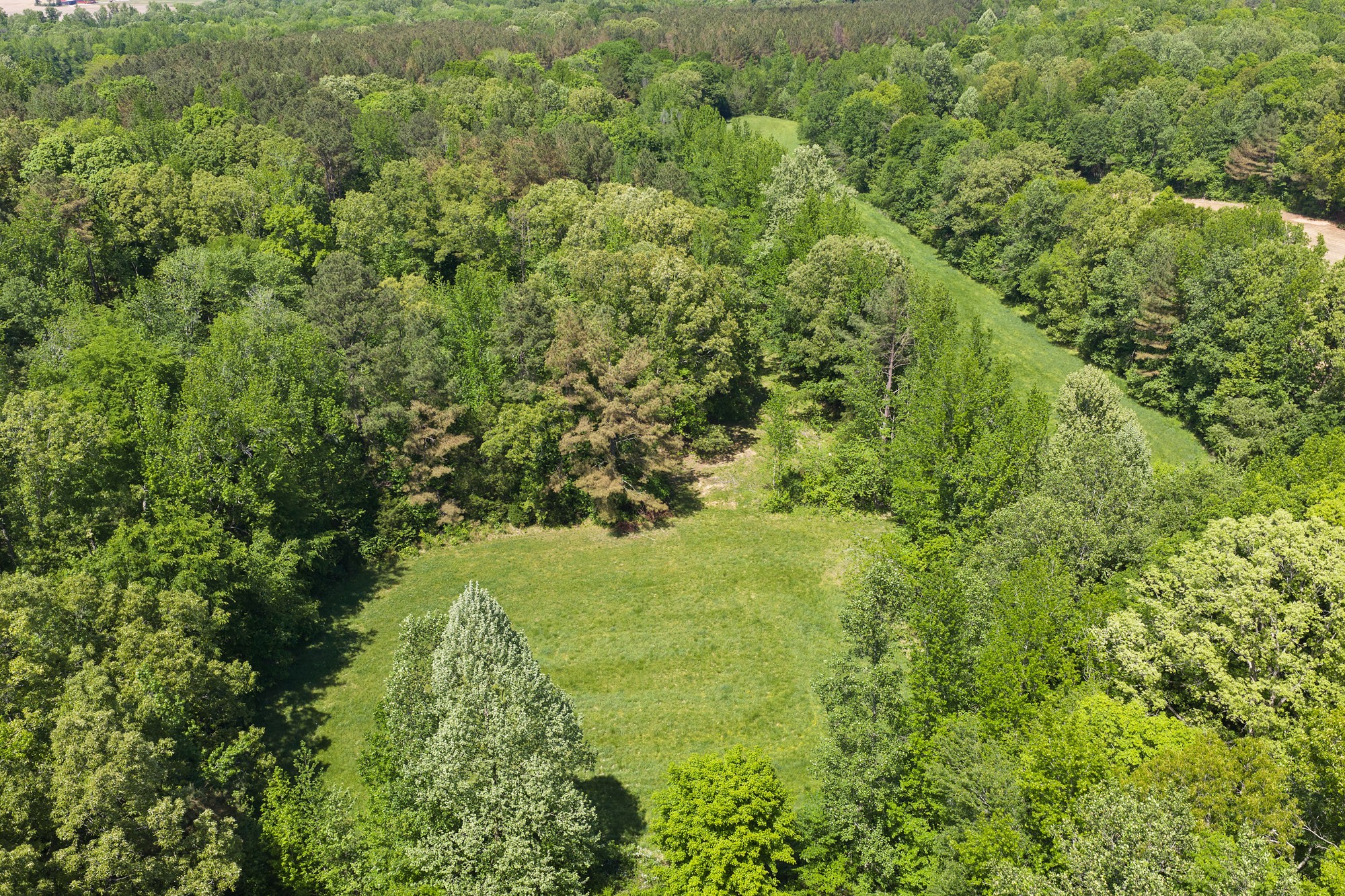 0 Red Williams Rd Property Photo 4