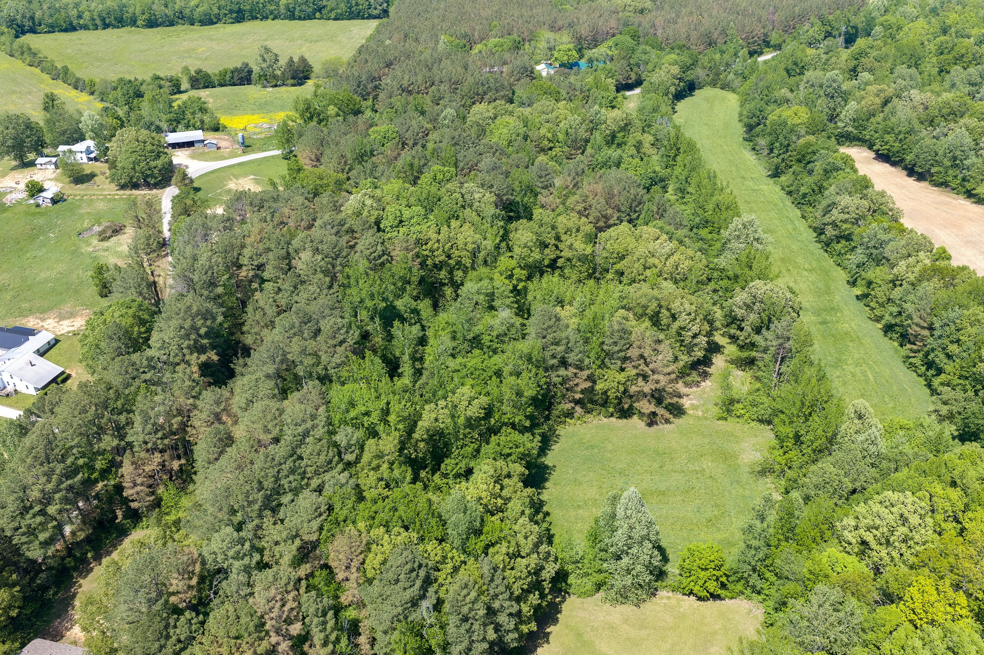 0 Red Williams Rd Property Photo 10