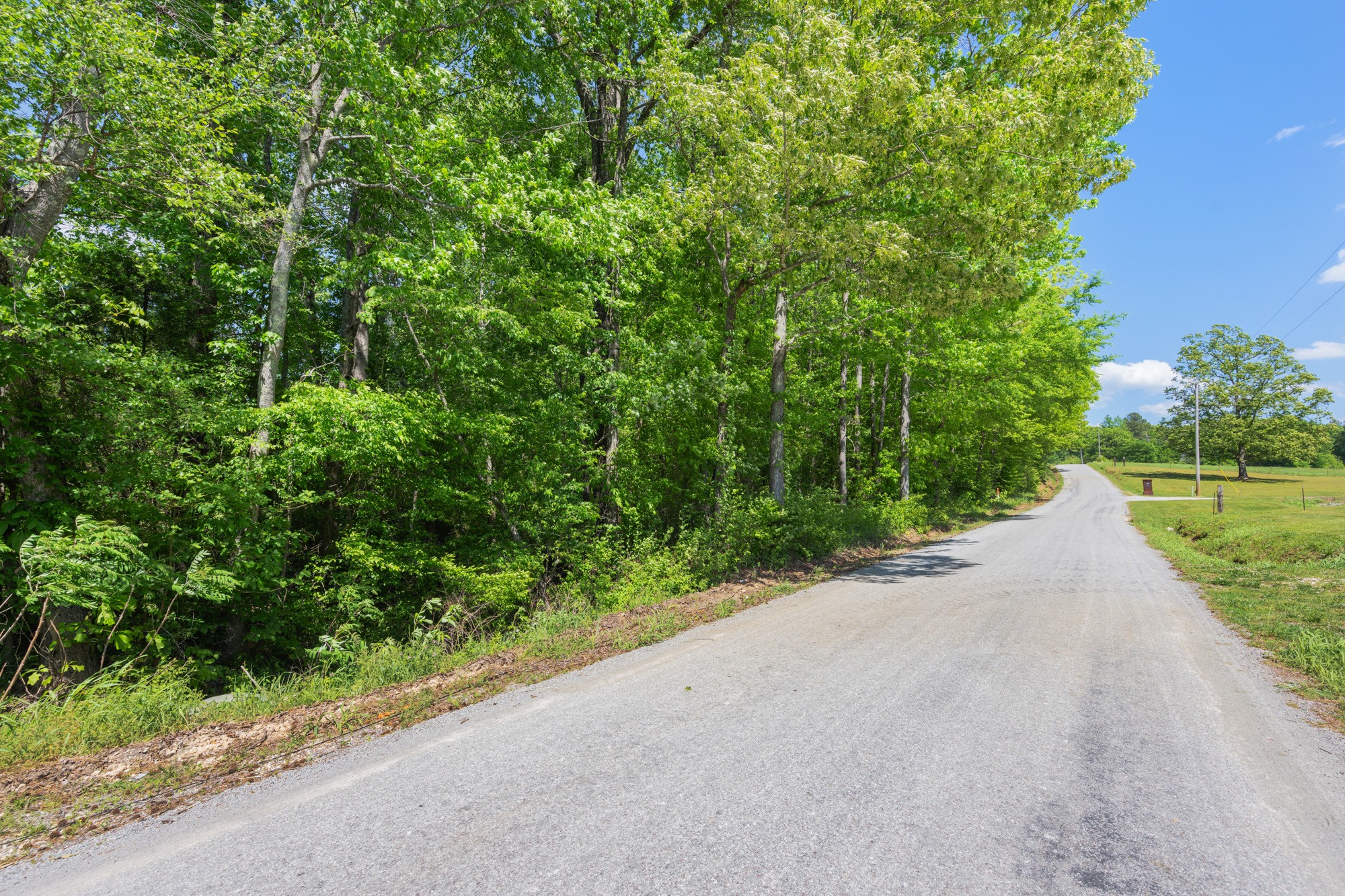 0 Mebane Cemetery Rd Property Photo 3