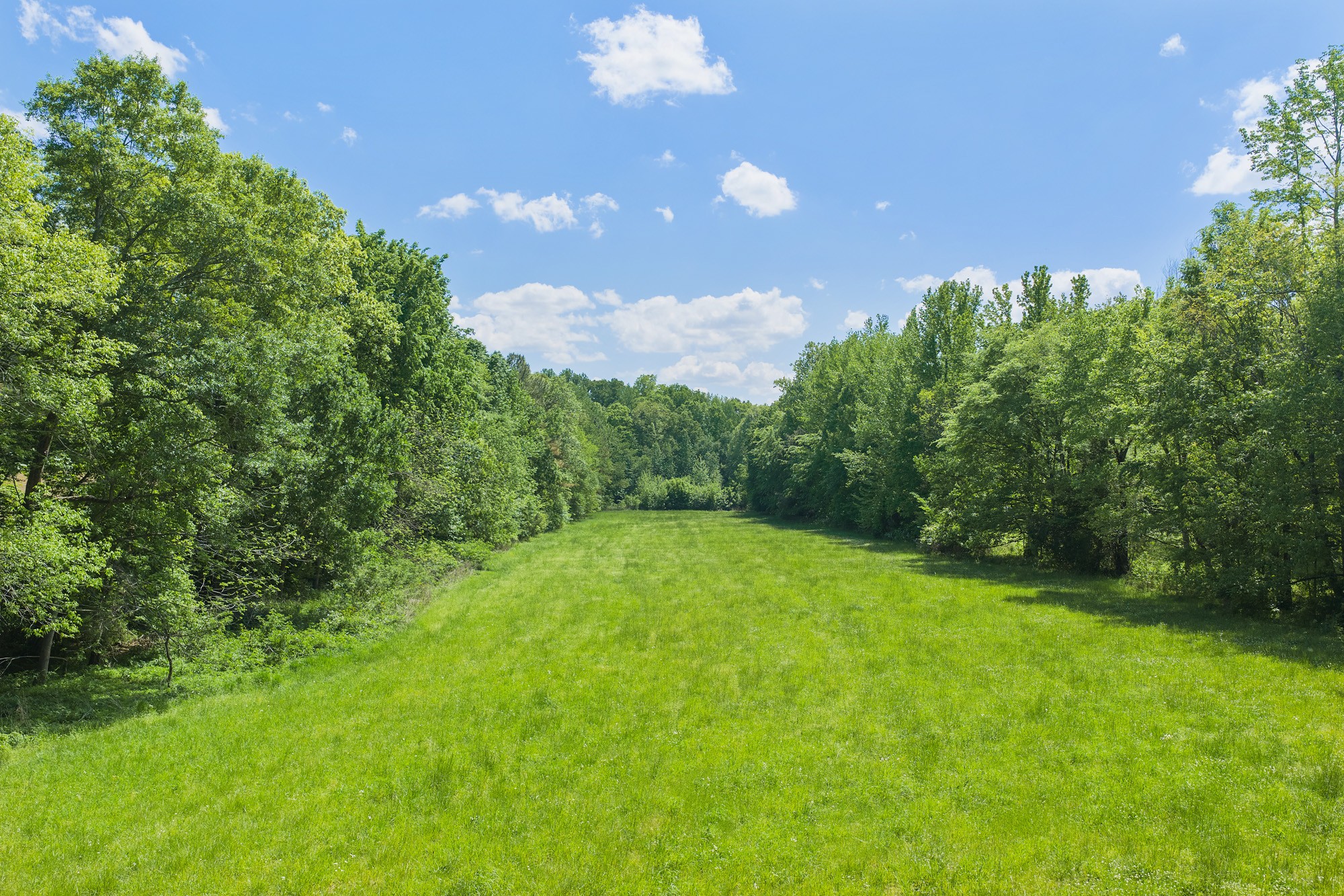 0 Mebane Cemetery Rd Property Photo 6