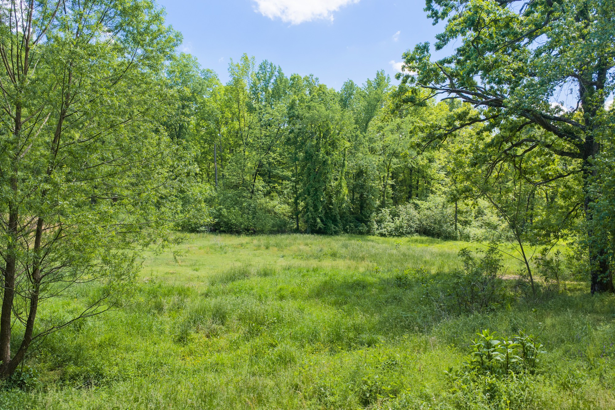 0 Mebane Cemetery Rd Property Photo 7