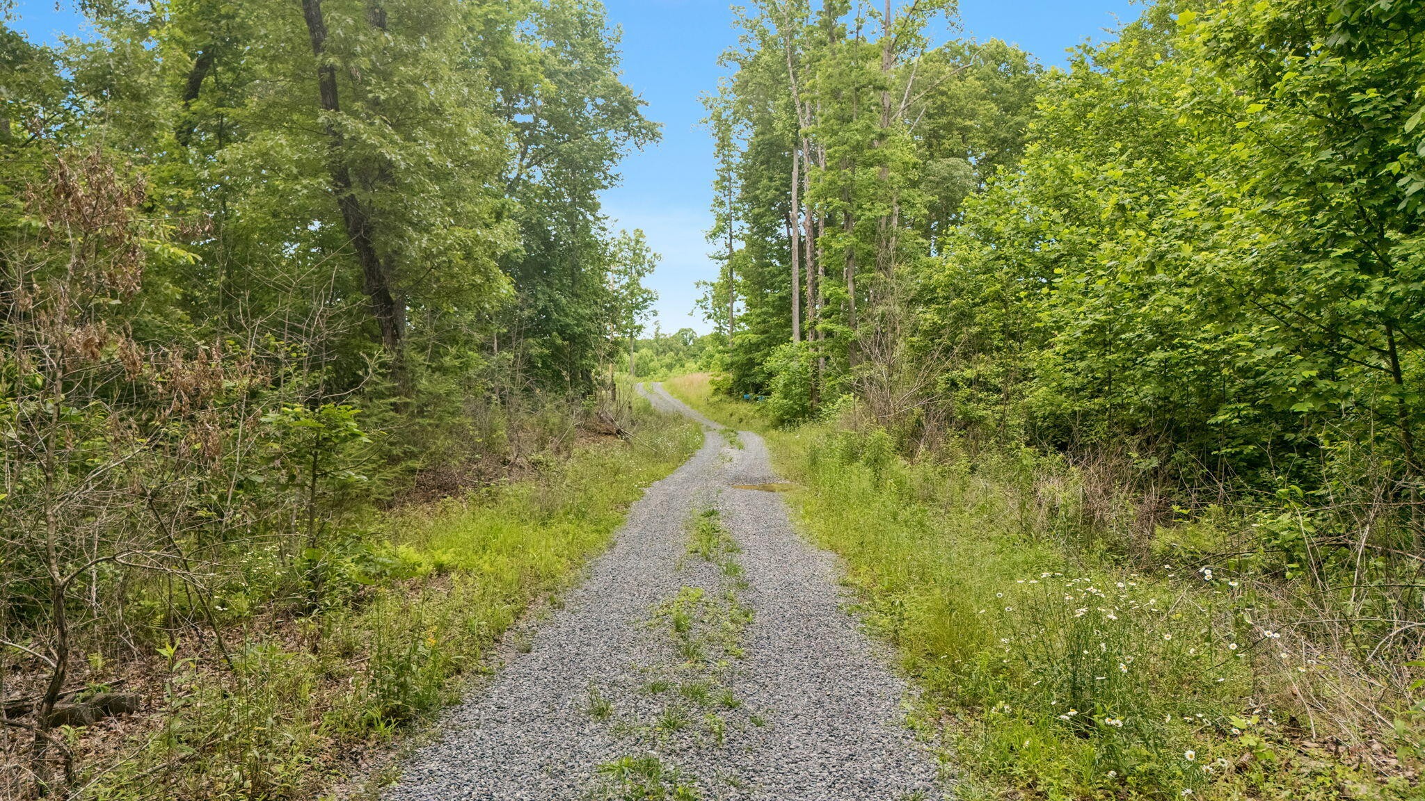 11 Laurel Brook Road Property Photo 30