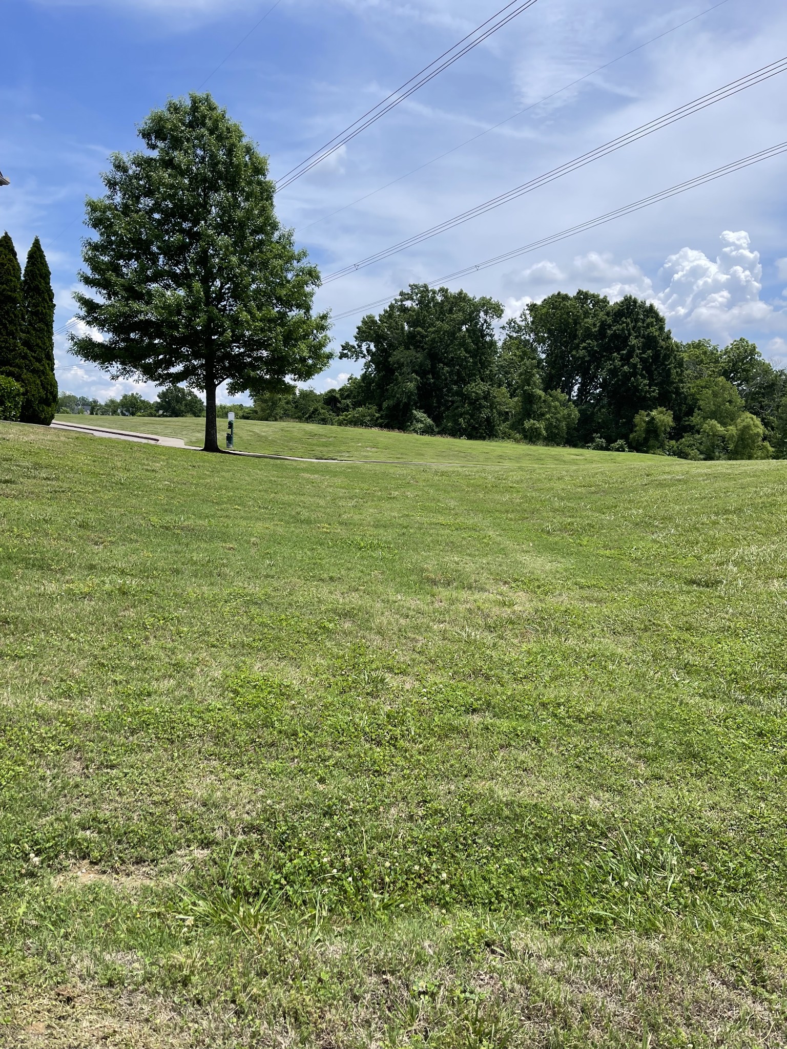 8639 Altesse Way Property Photo 4