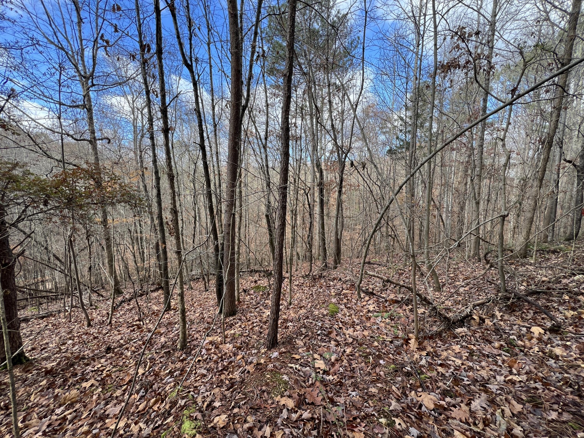 0 Smyrna Road Property Photo 1