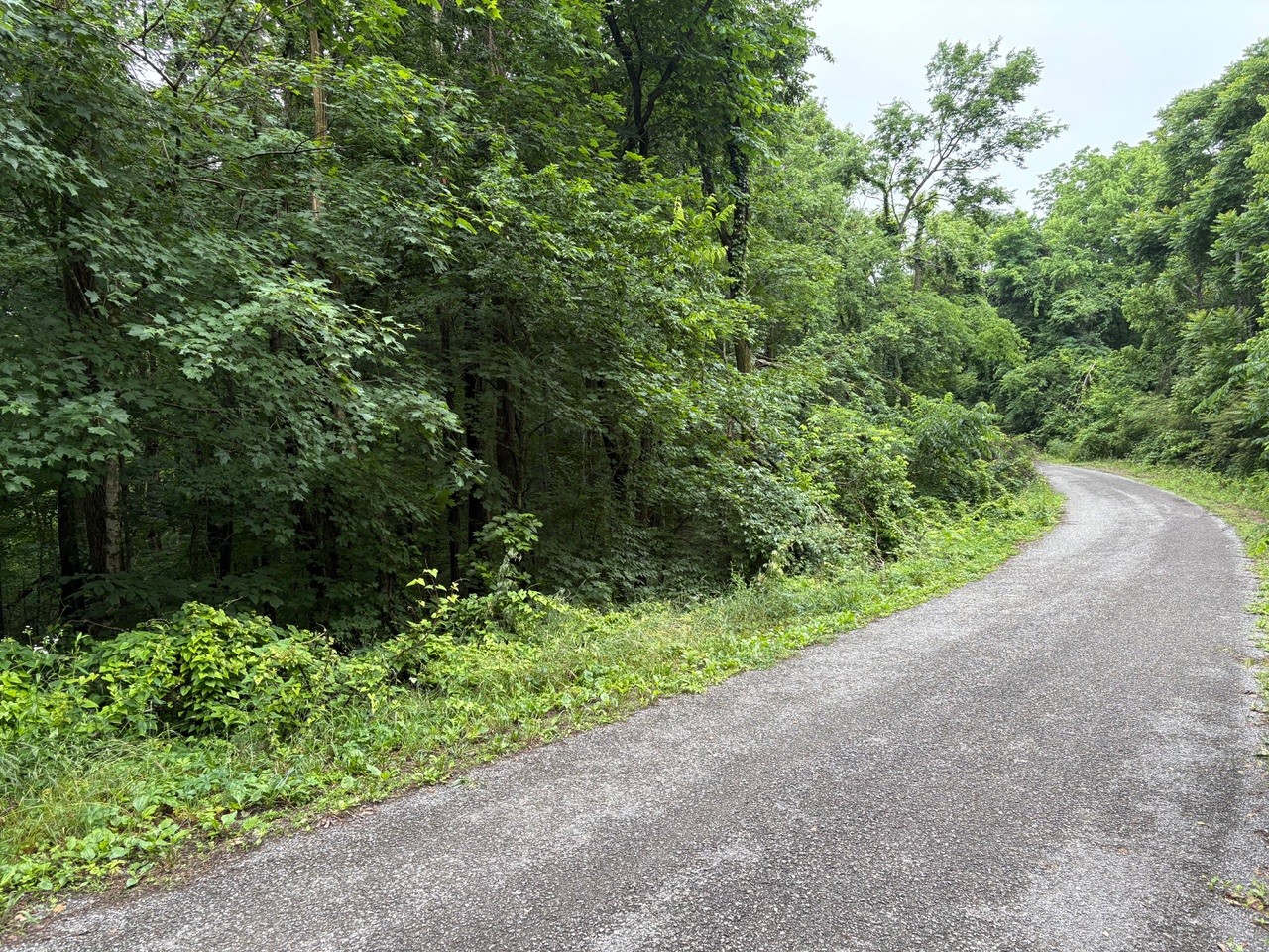 0 Ivy Hollow Rd Property Photo 1