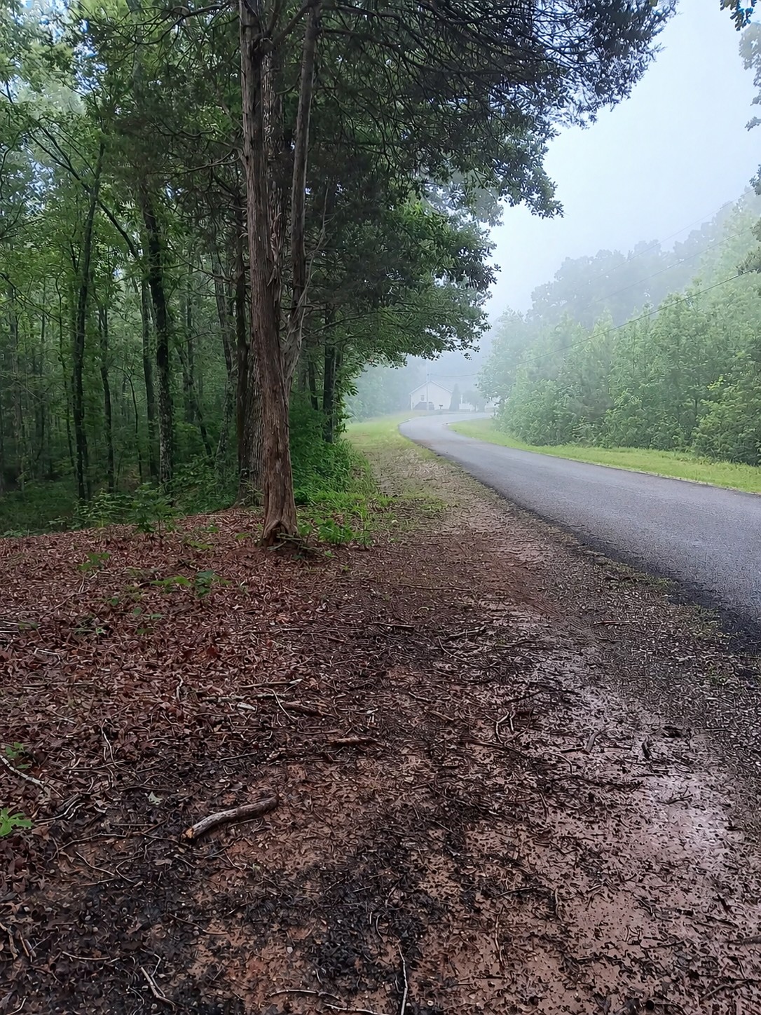0 Logger Lane Property Photo 3