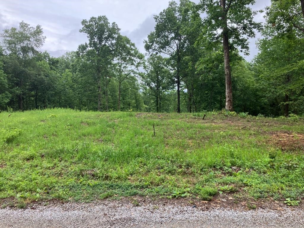 213 Wynn Ferry Rd Property Photo 1