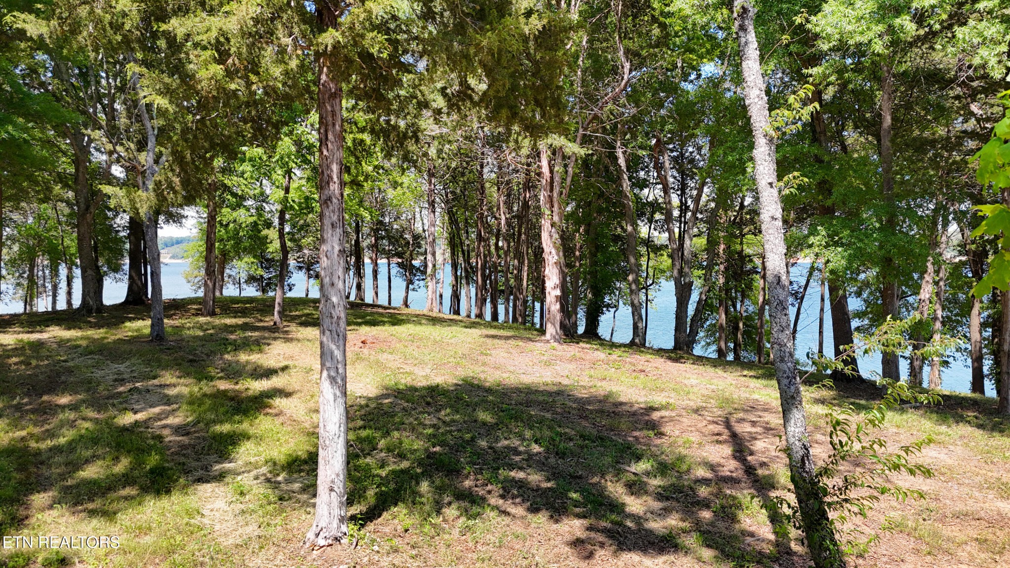 122 Ridge Point Tr Property Photo 2
