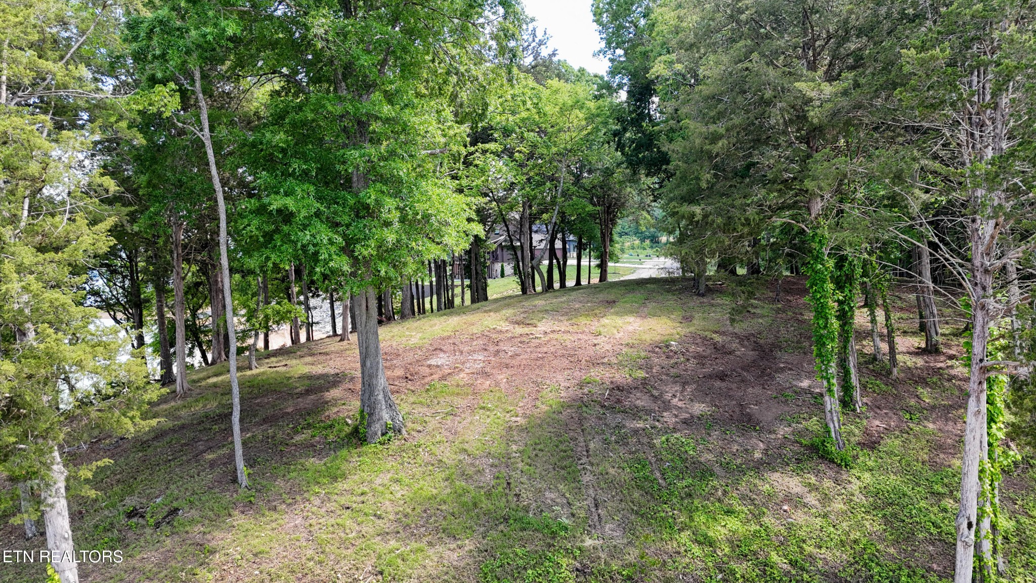 122 Ridge Point Tr Property Photo 22