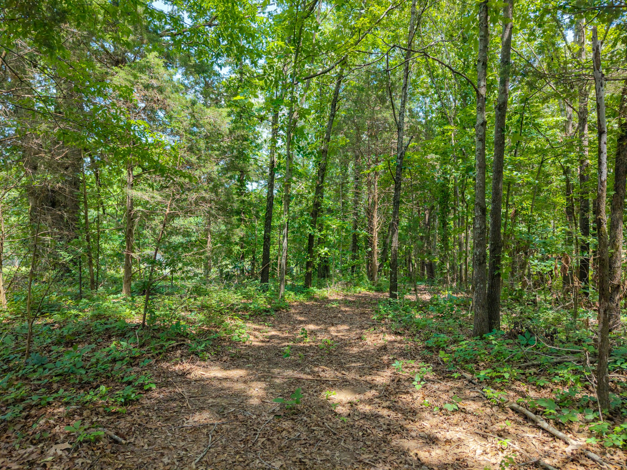 0 Eli Rd Property Photo 1
