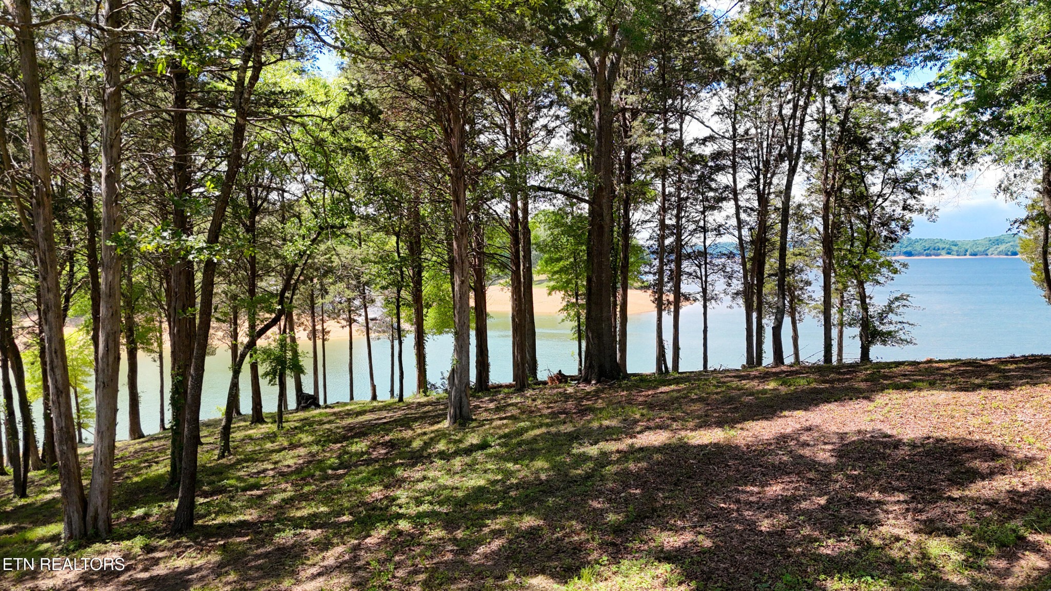 123 Ridge Point Tr Property Photo 1