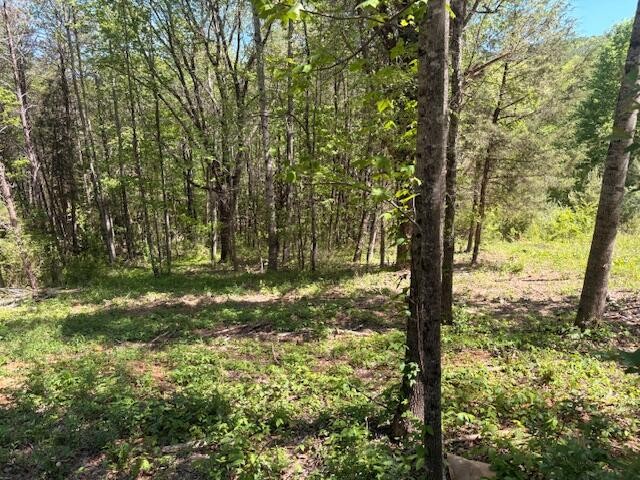 12 Bivens Court Property Photo 1