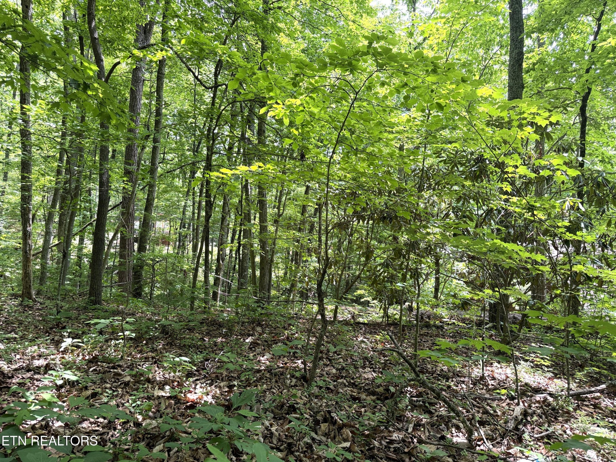 0 Swann Saddle Property Photo 1