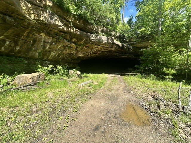 0 Bear Knob Ln Property Photo 3