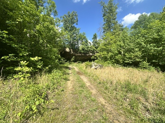0 Bear Knob Ln Property Photo 4