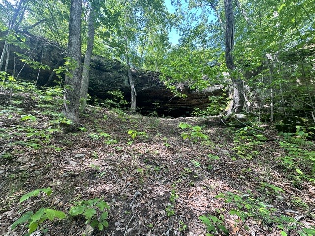 0 Bear Knob Ln Property Photo 5