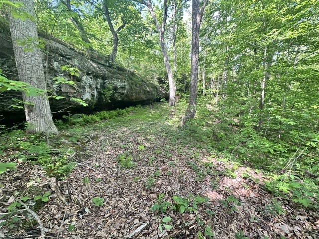 0 Bear Knob Ln Property Photo 6
