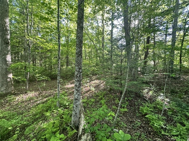 0 Bear Knob Ln Property Photo 7
