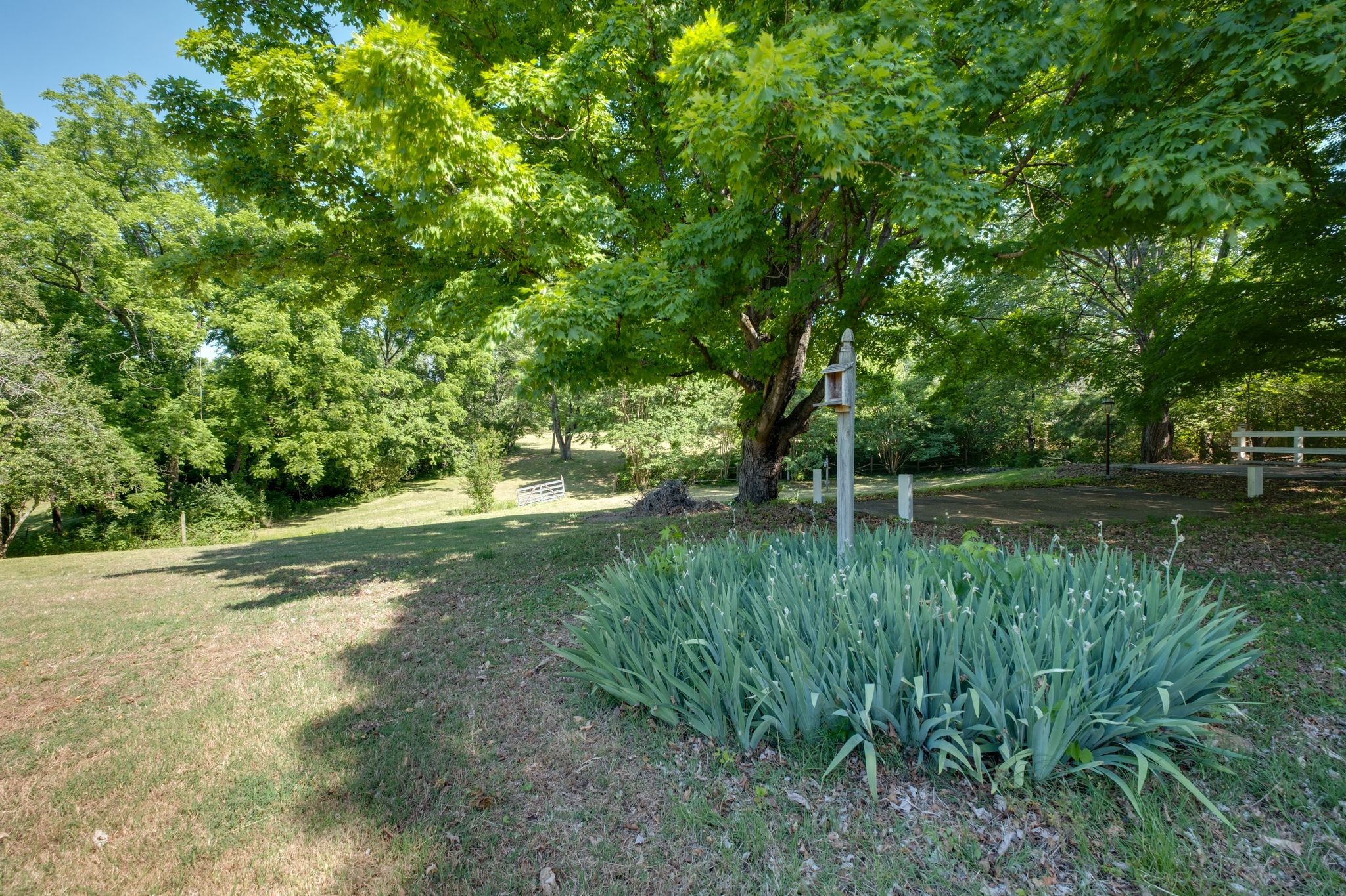 651 Old Lebanon Dirt Rd Property Photo 43