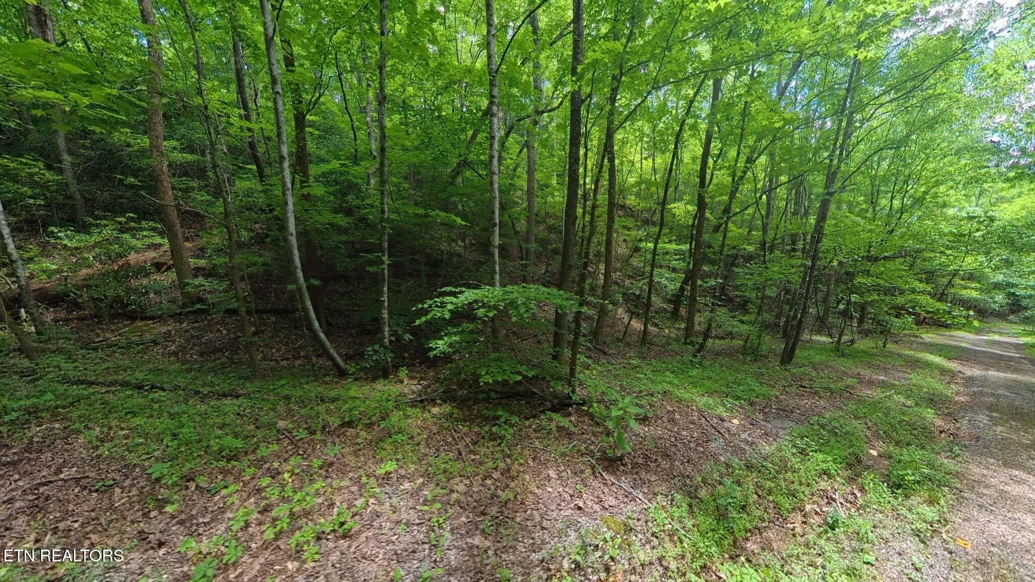 195 Sherwood Lane Property Photo 1