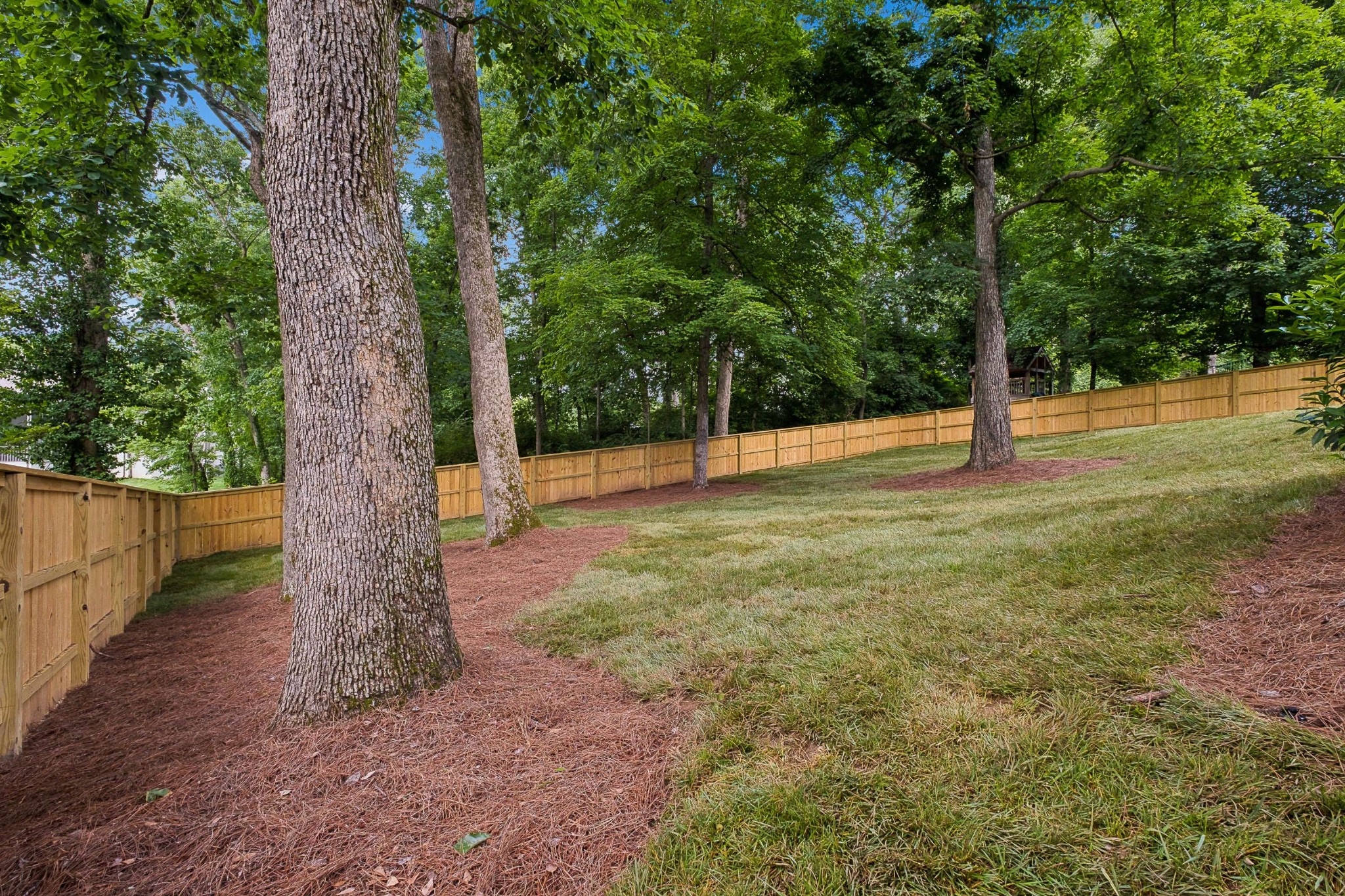 4123 Skyline Dr Property Photo 84