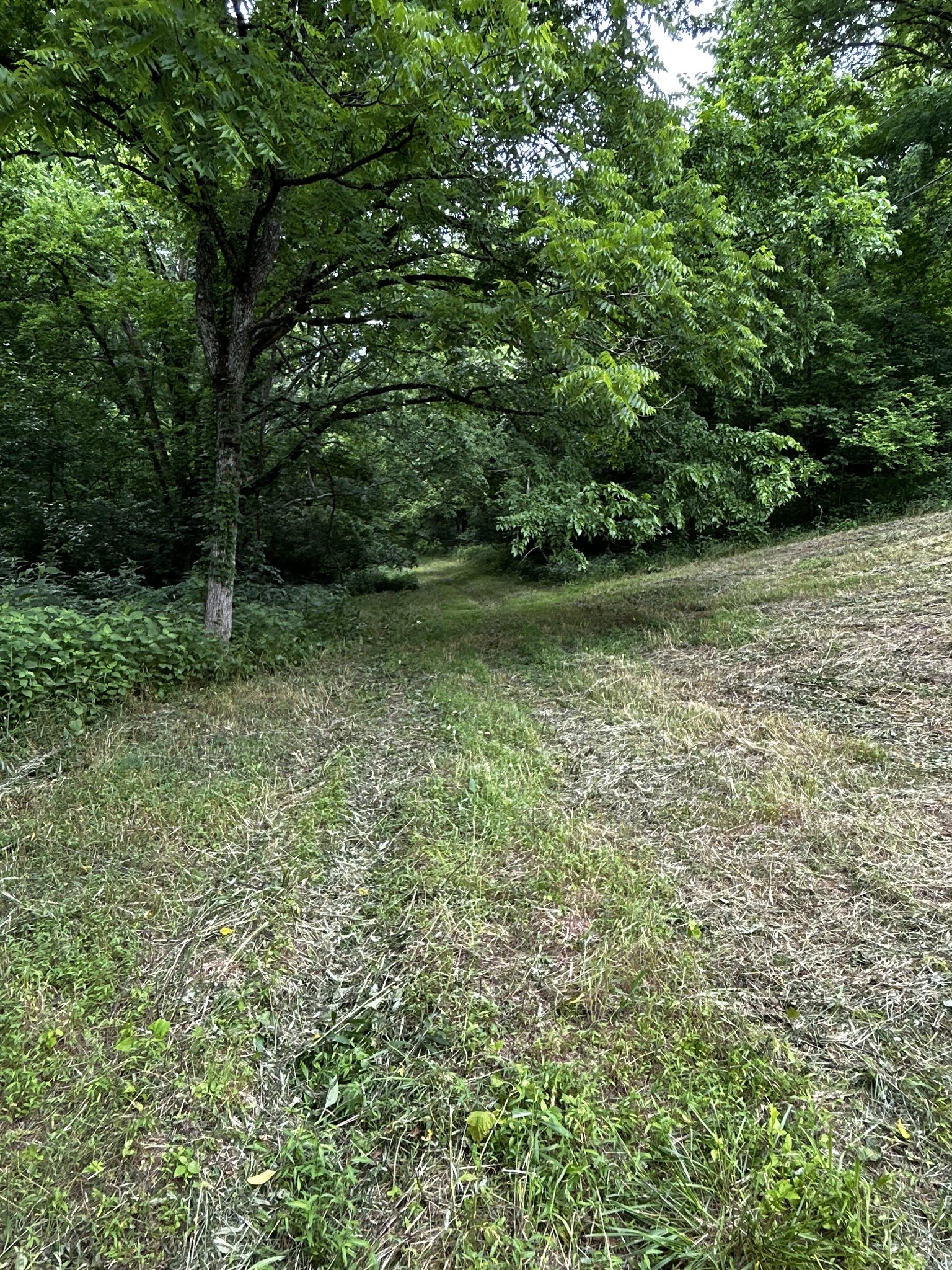 98 Hackett Valley Rd Property Photo 9