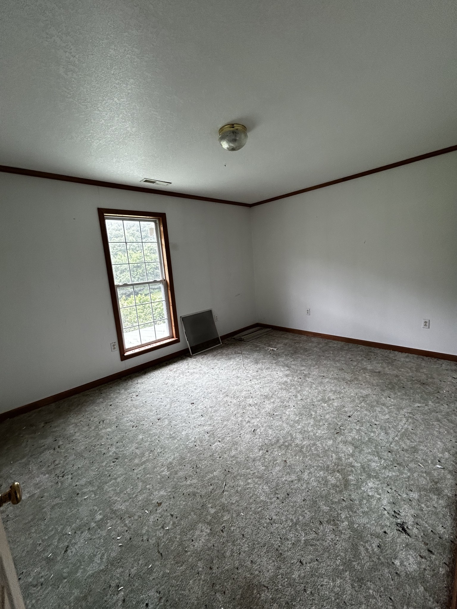 98 Hackett Valley Rd Property Photo 29
