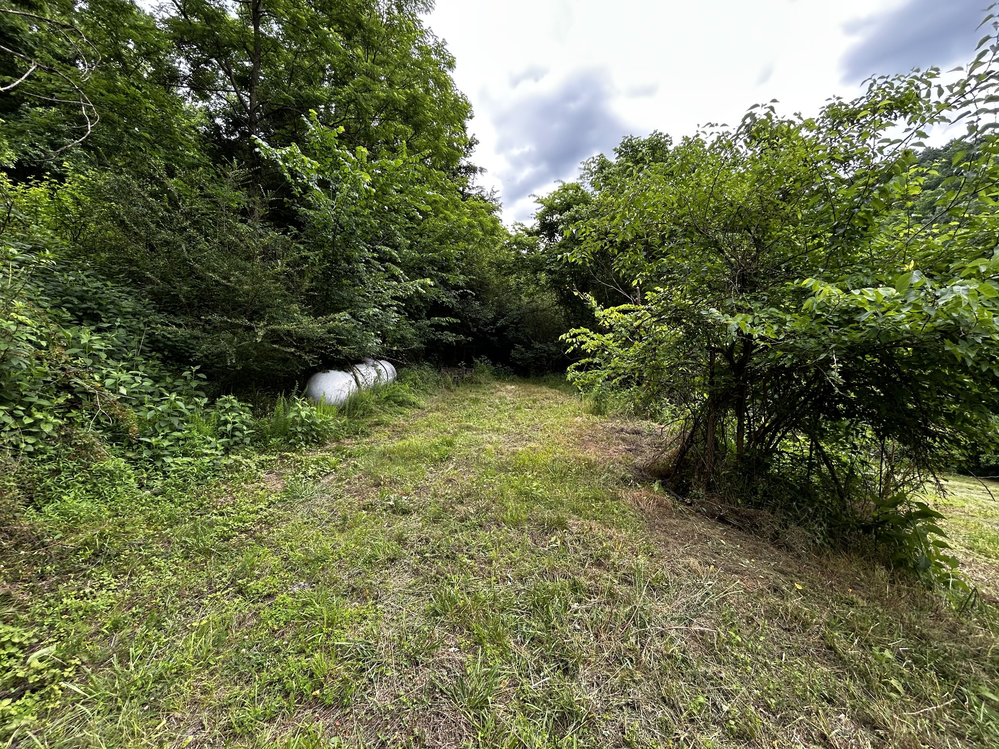 98 Hackett Valley Rd Property Photo 34