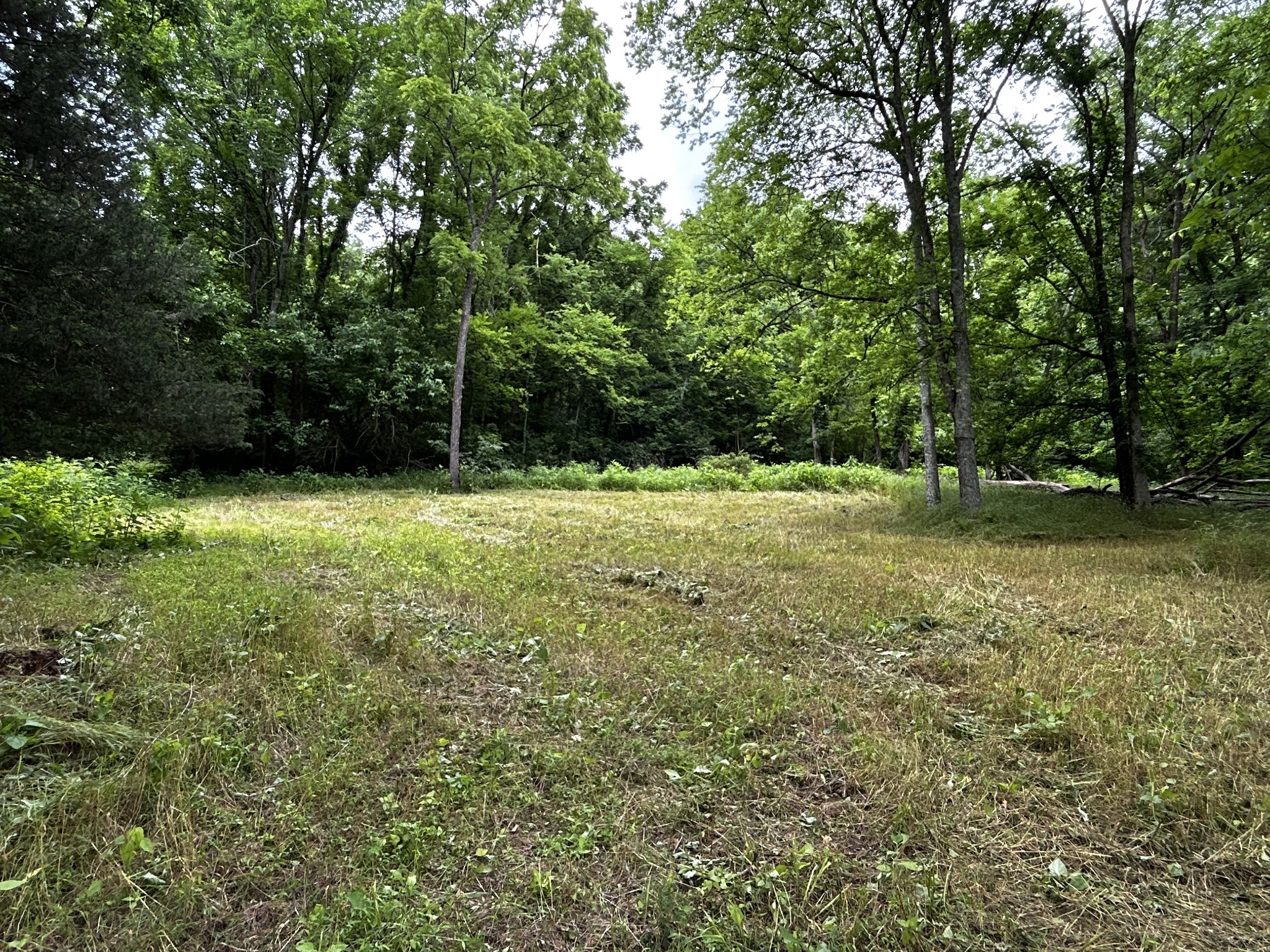 98 Hackett Valley Rd Property Photo 11