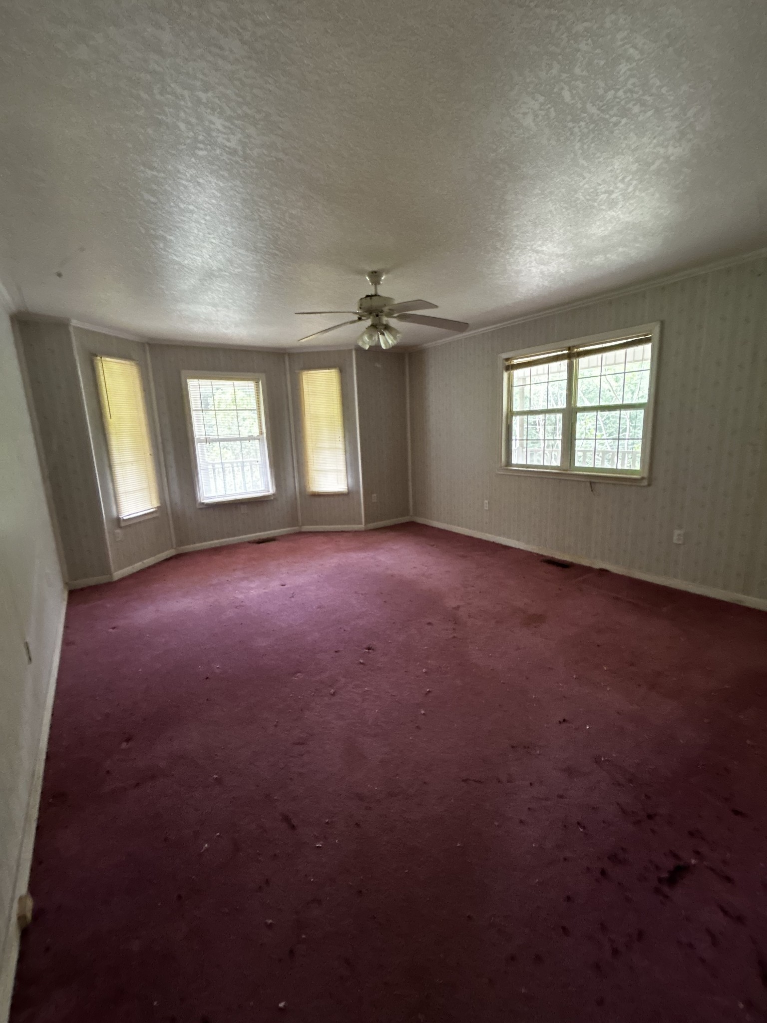 98 Hackett Valley Rd Property Photo 28