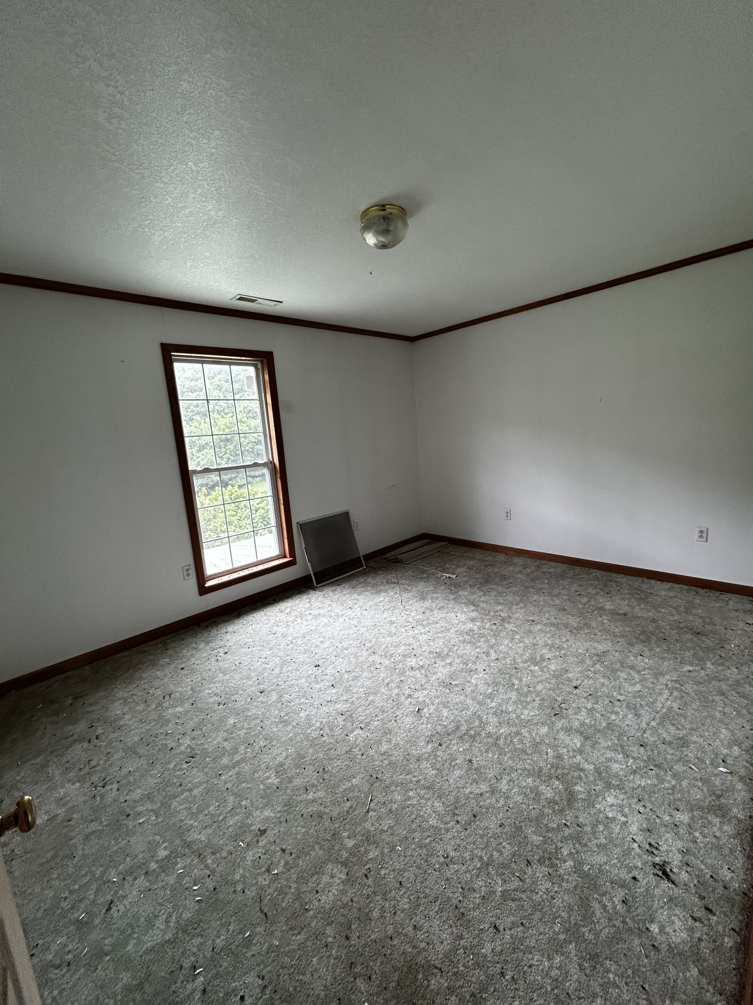 98 Hackett Valley Rd Property Photo 29
