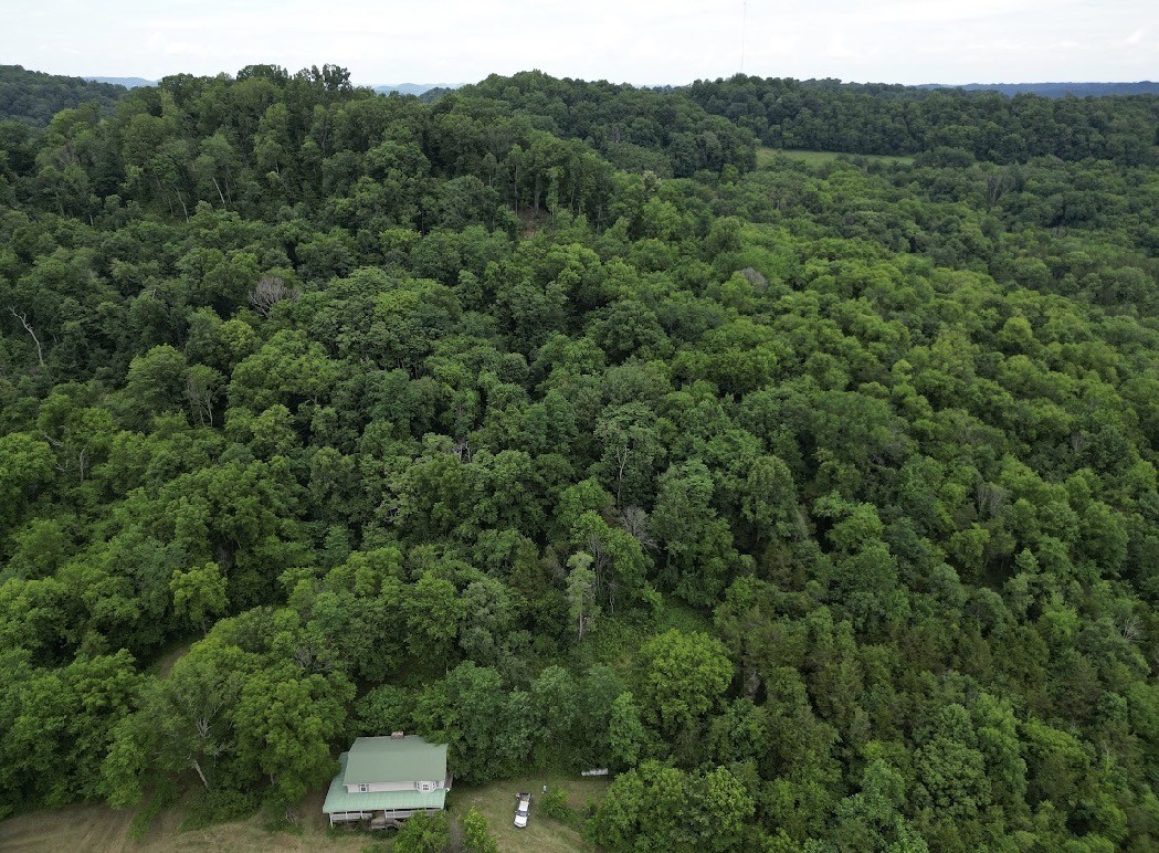 98 Hackett Valley Rd Property Photo 39