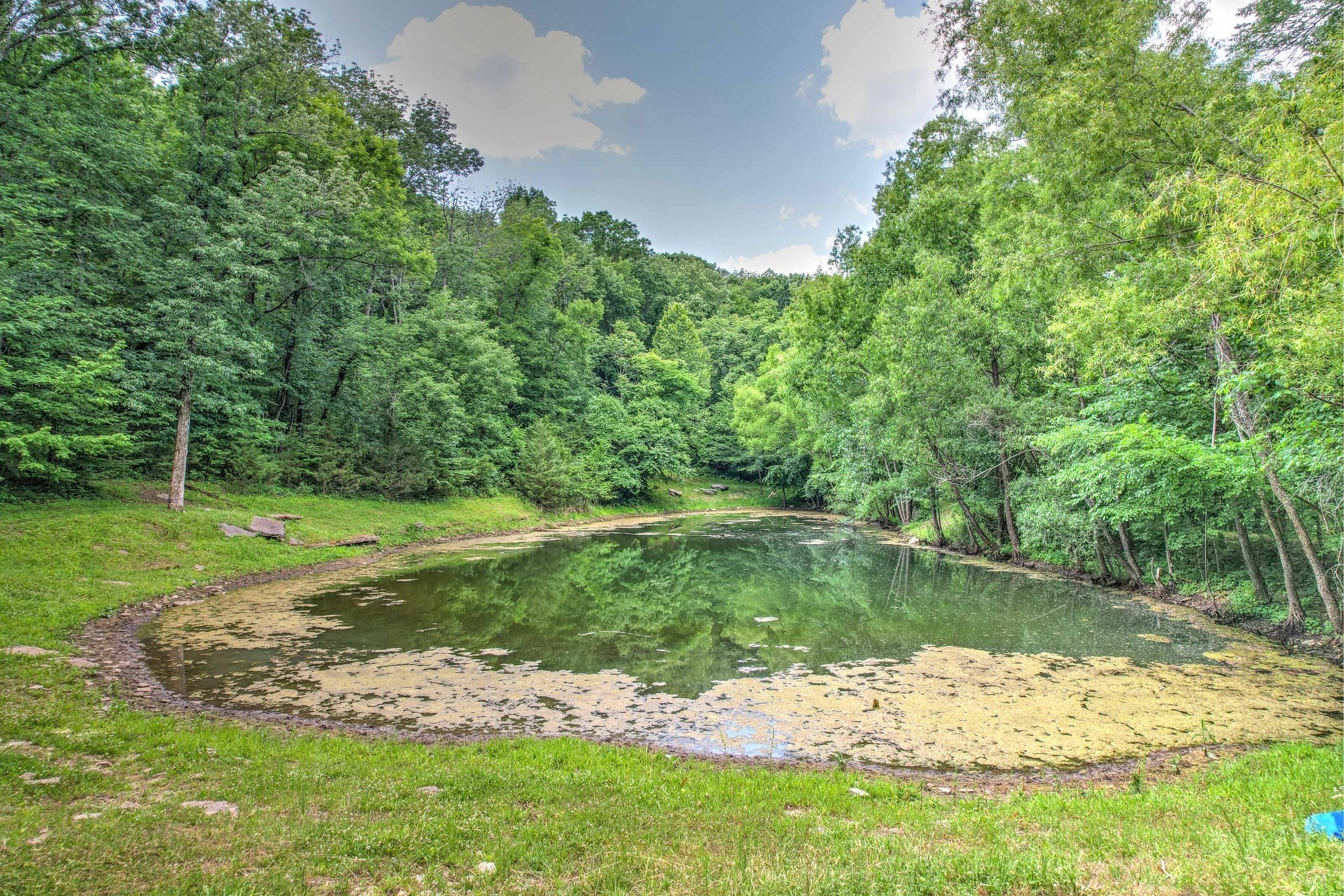 5291 Sam Hill Rd Property Photo 10