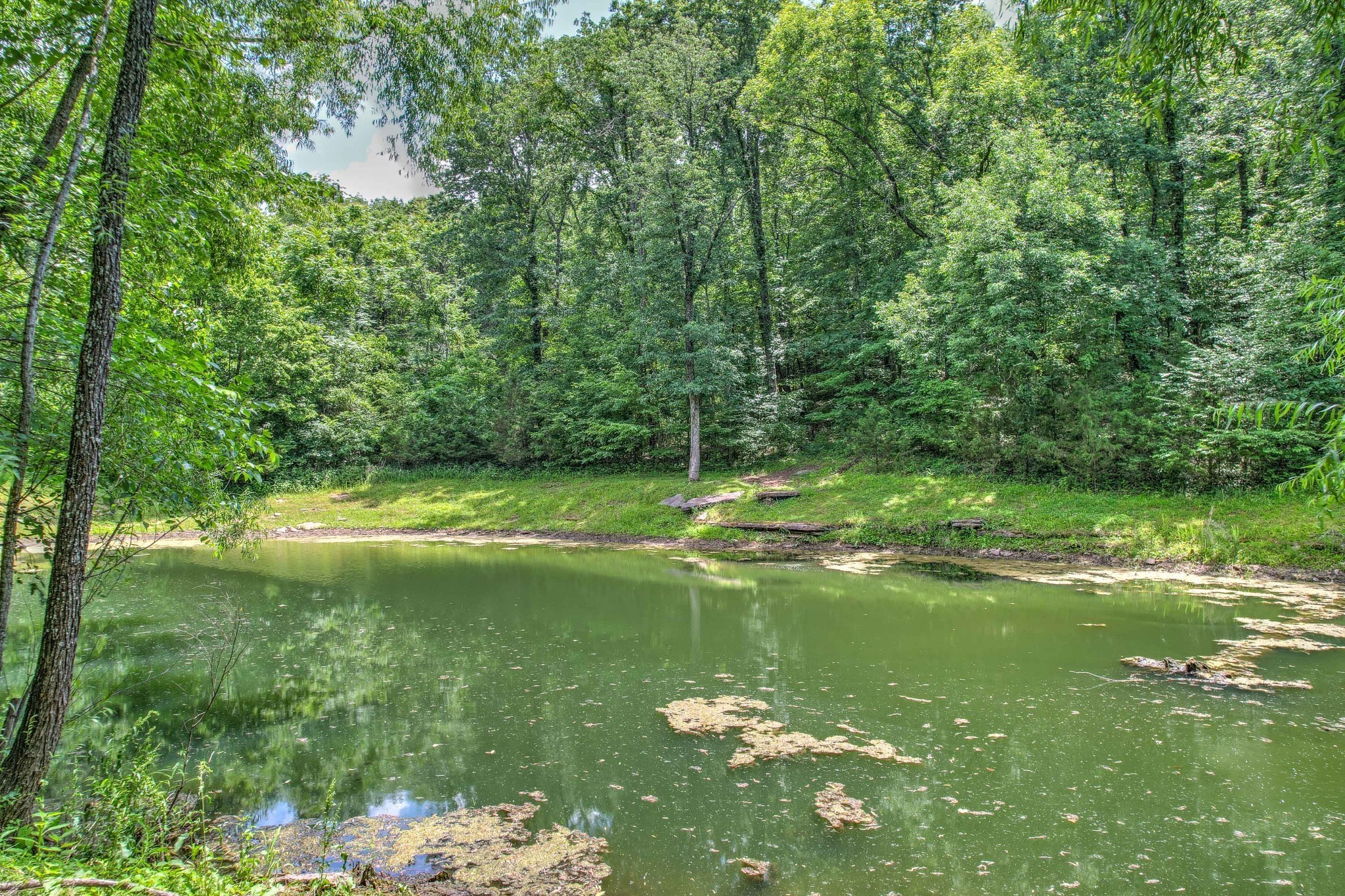 5291 Sam Hill Rd Property Photo 11