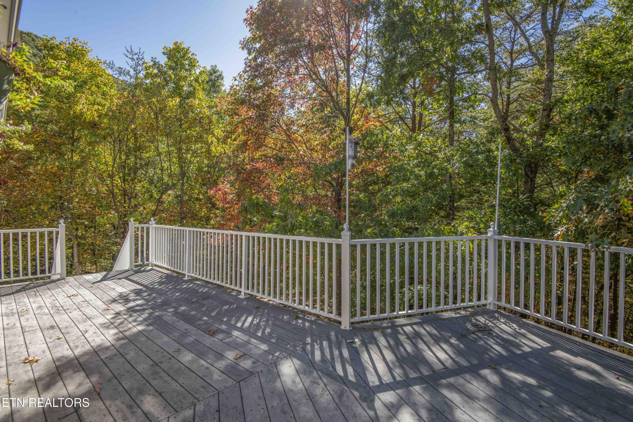 3814 Chilhowee Tr Property Photo 37
