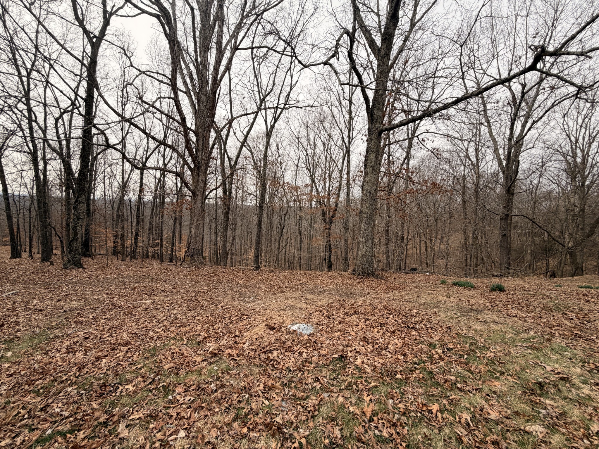 4474 Cumberland City Rd Property Photo 20