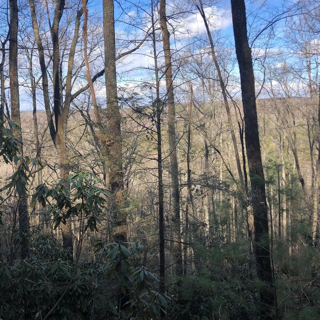 450 Holder Cemetery Road Property Photo 1