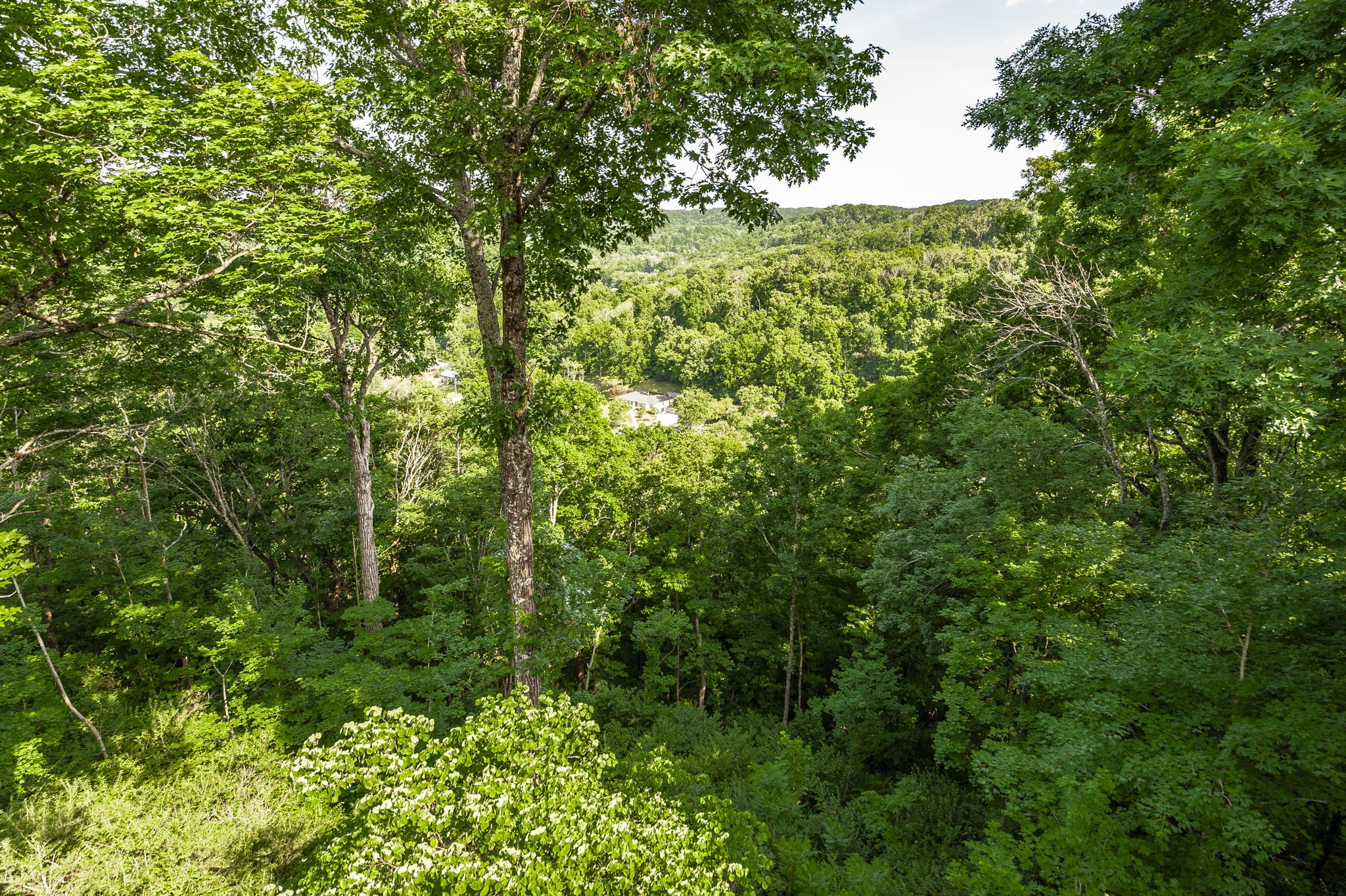 1007a Highland Rd Property Photo 34