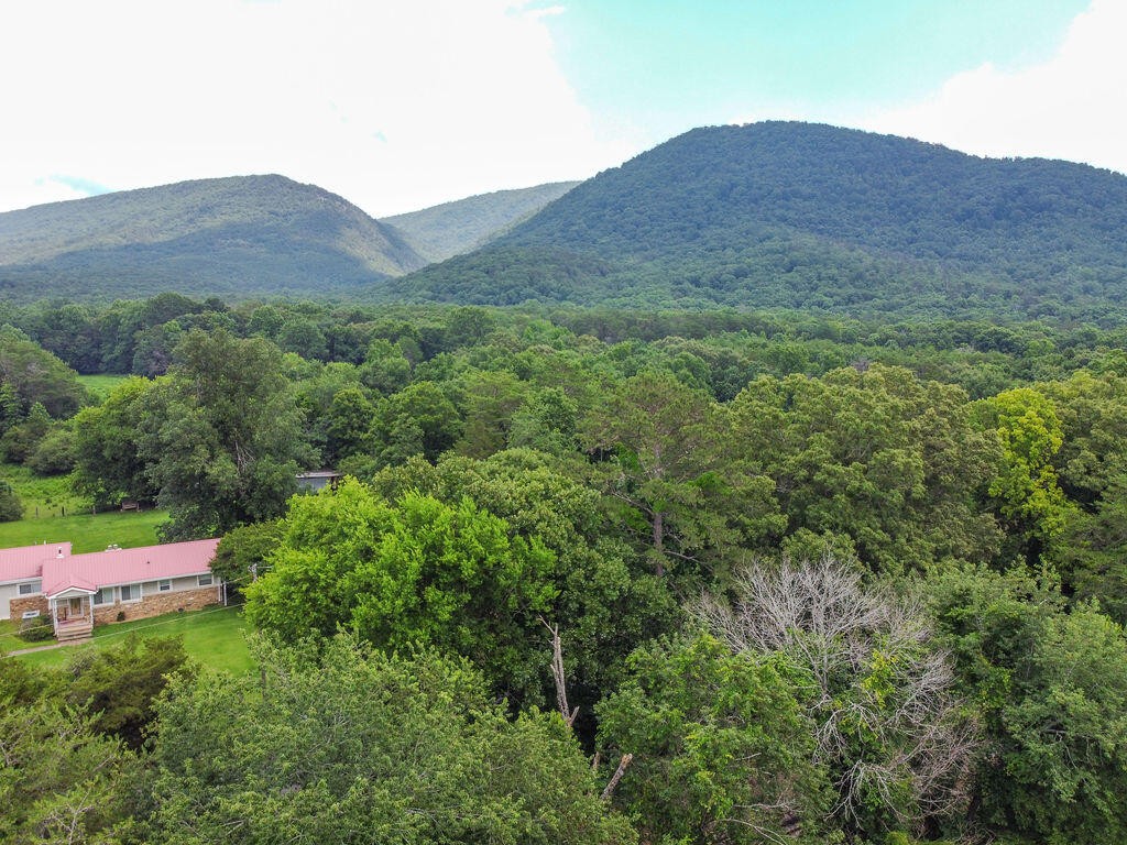 275 Spring Creek Road Property Photo 27