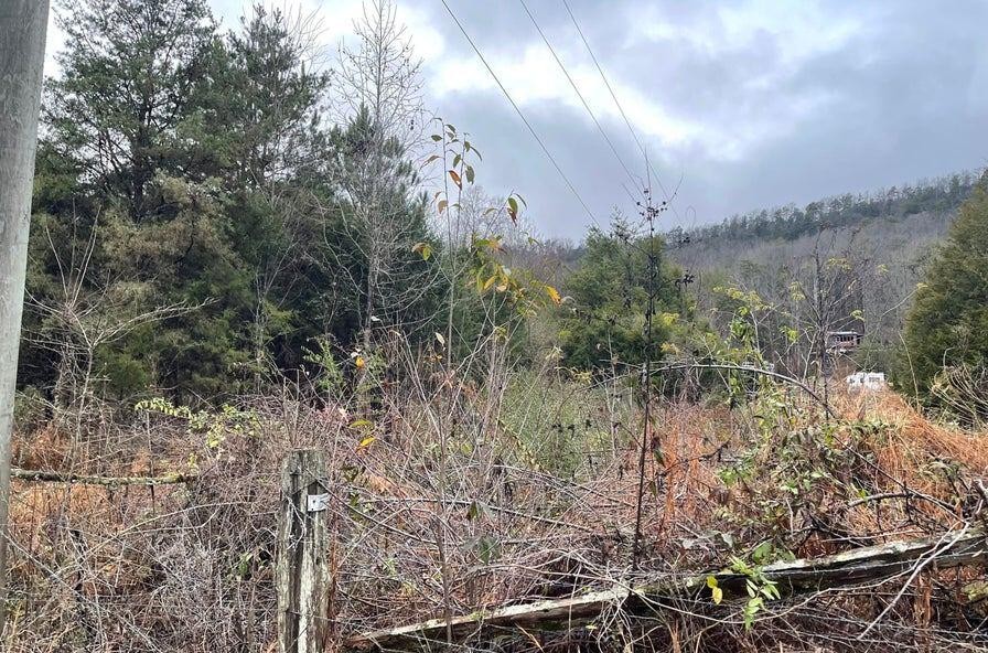 0 Reagan Valley Road Property Photo 1