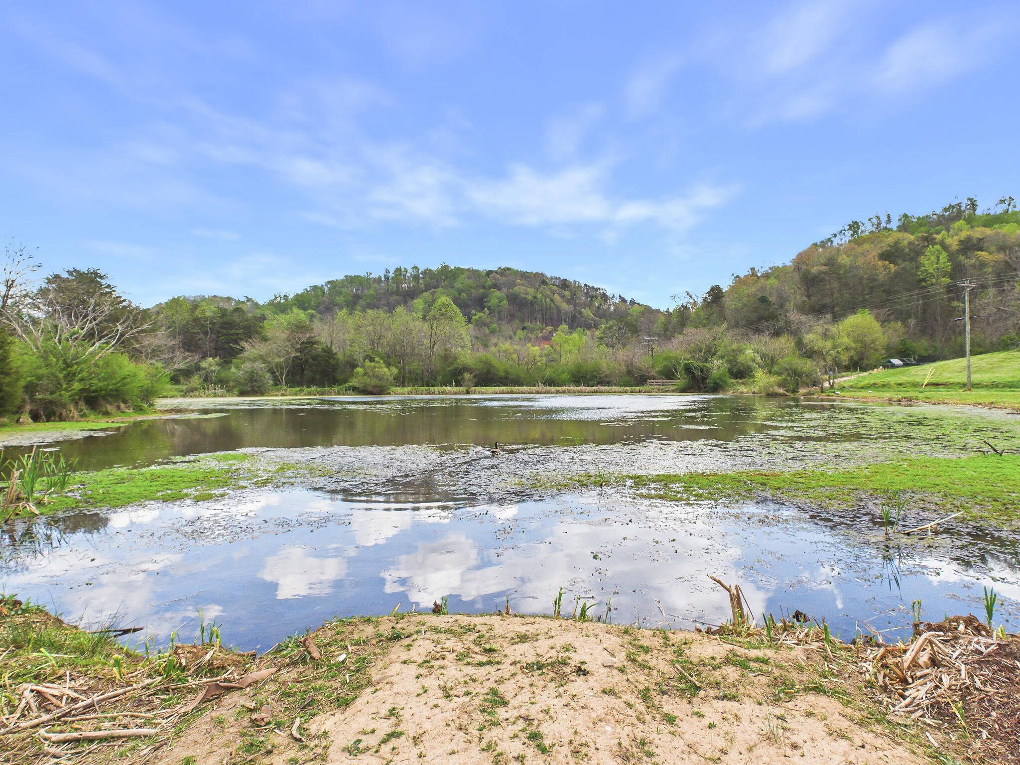 1483 Reagan Valley Road Property Photo 57
