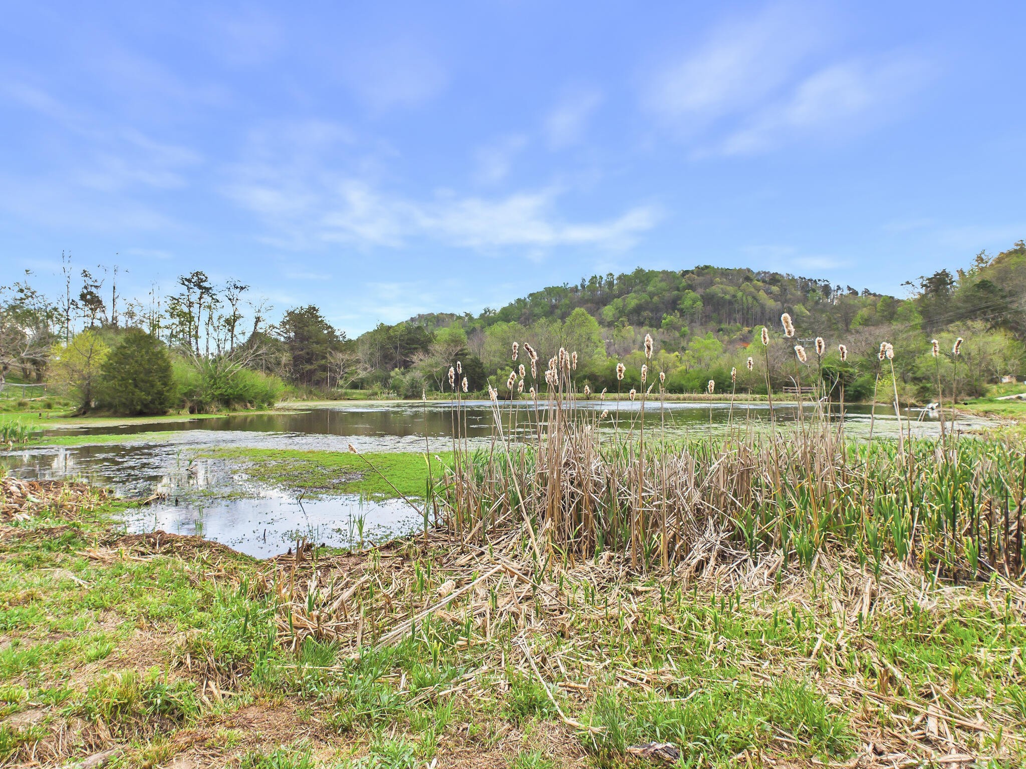 1483 Reagan Valley Road Property Photo 62