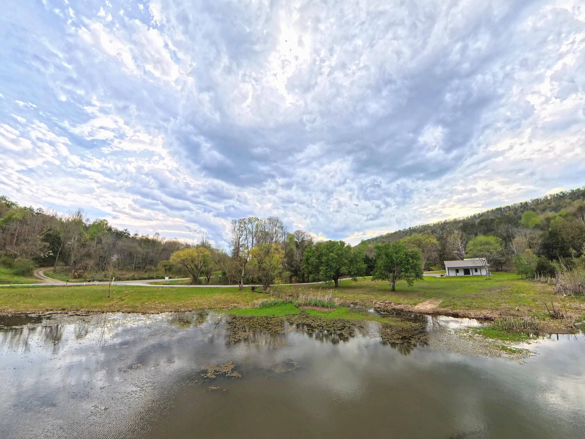 1483 Reagan Valley Road Property Photo 66