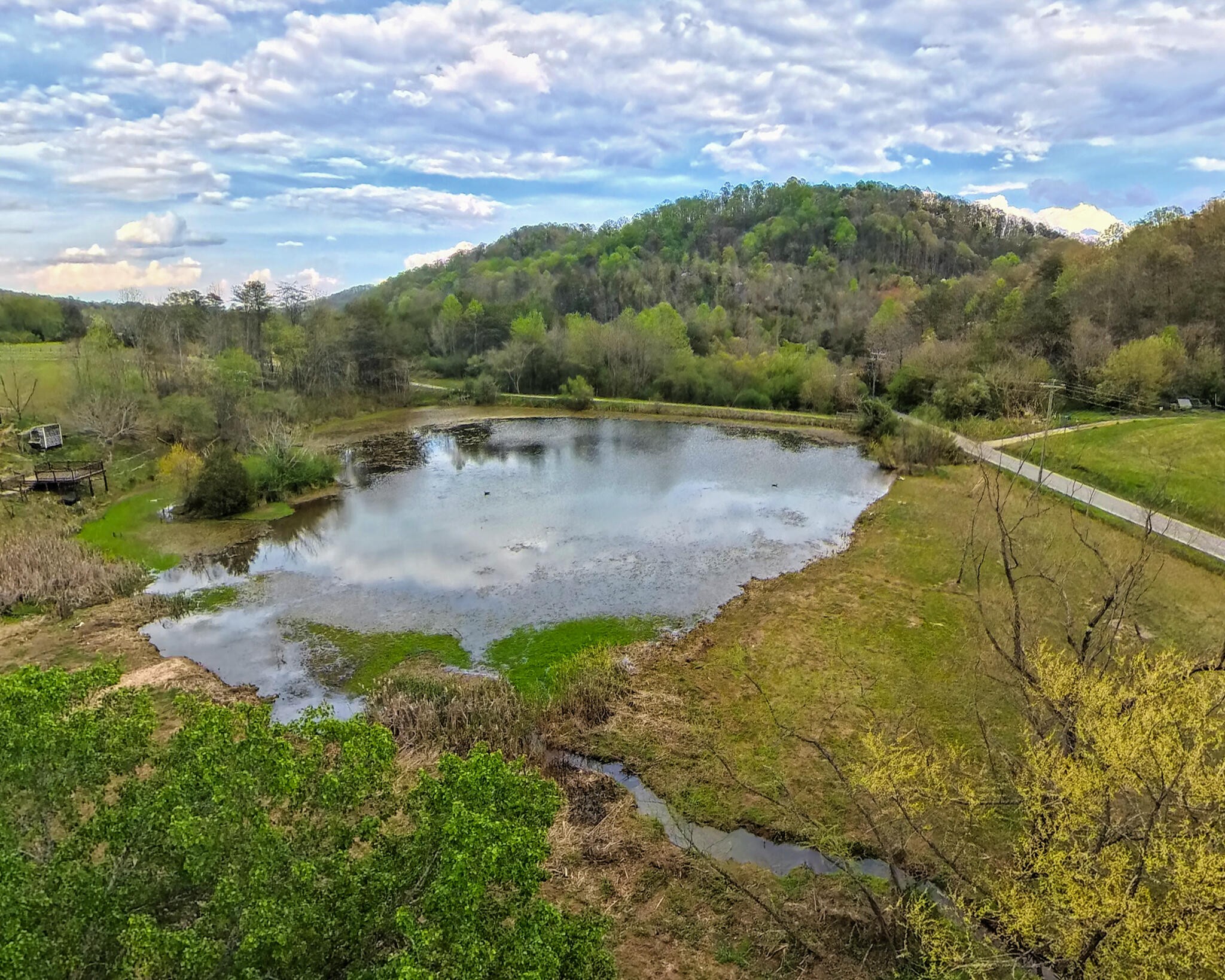 1483 Reagan Valley Road Property Photo 71
