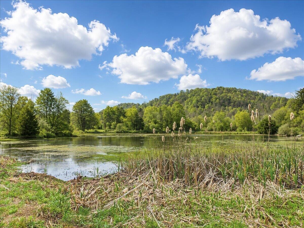 1483 Reagan Valley Road Property Photo 75