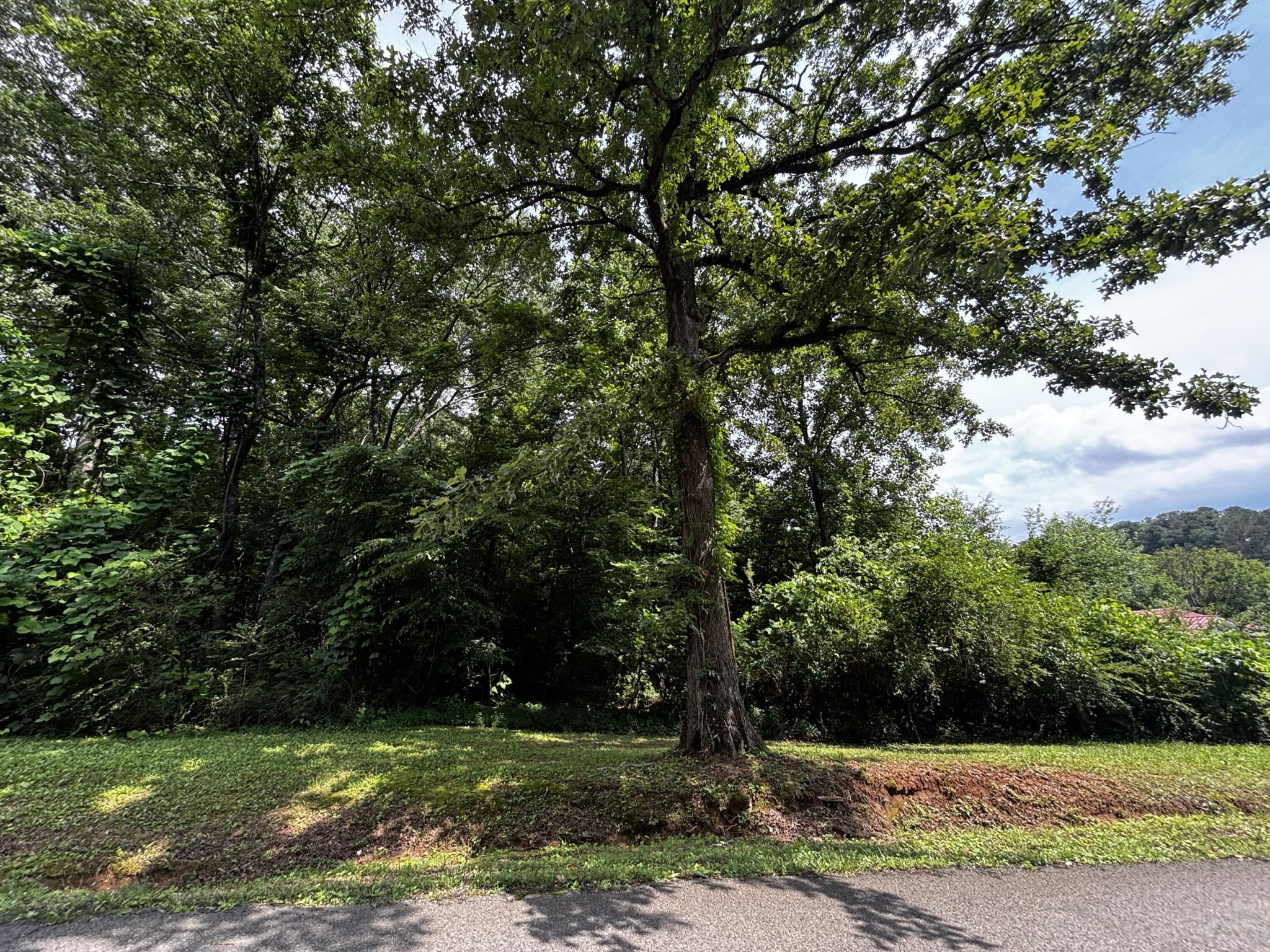 0 Kendall Avenue Property Photo 1